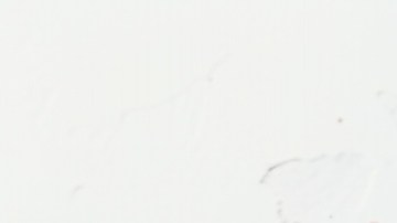 Muslos de pollo con miel y chipotle