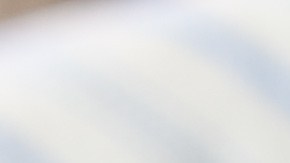 Muslos de pollo con salsa de anacardos