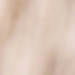 Muslos de pollo con salsa de durazno