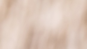 Muslos de pollo con salsa de durazno