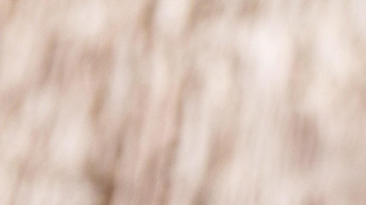 Muslos de pollo con salsa de durazno