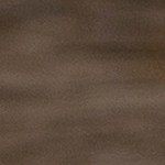 Muslos de pollo con salsa de tamarindo y chile