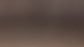 muslos de pollo con salsa de yogurt y limón