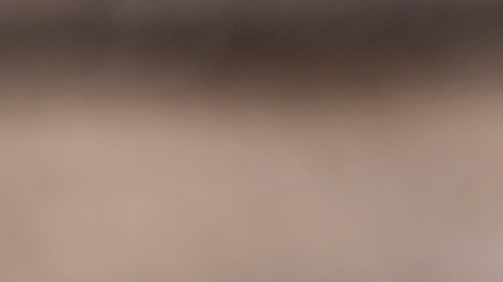 muslos de pollo con salsa de yogurt y limón