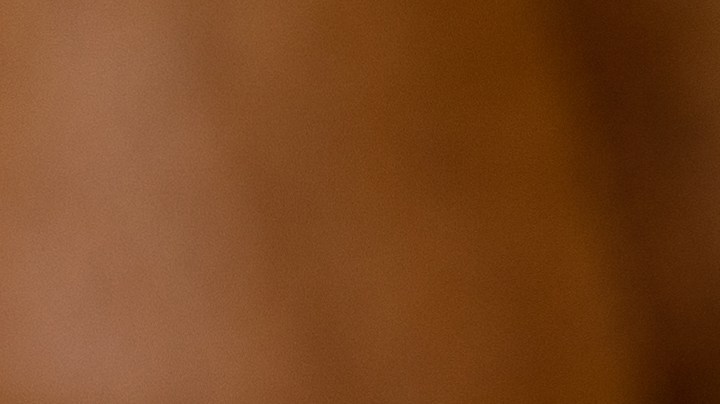 muslos de pollo en adobo de ajo y pimentón