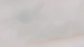 muslos de pollo en salsa de manzana y mostaza