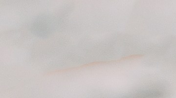 muslos de pollo en salsa de manzana y mostaza