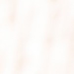 Muslos de pollo en salsa de tomate y pimentón