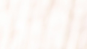 Muslos de pollo en salsa de tomate y pimentón