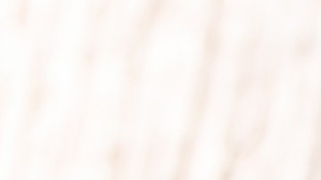 Muslos de pollo en salsa de tomate y pimentón