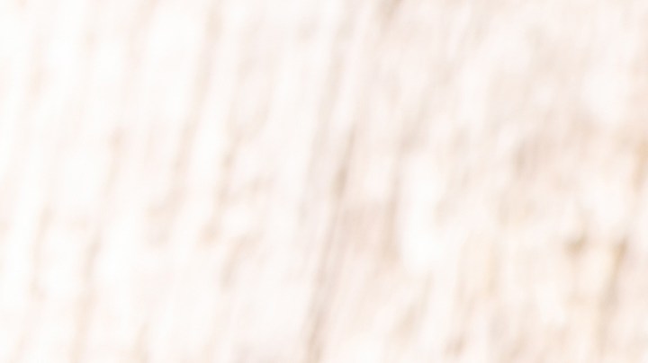 Muslos de pollo en salsa de tomate y pimentón