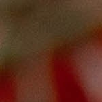 Muslos de pollo en salsa de tomate y vino tinto