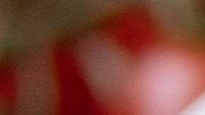 Muslos de pollo en salsa de tomate y vino tinto