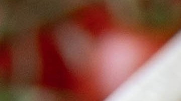 Muslos de pollo en salsa de tomate y vino tinto