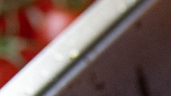 Muslos de pollo en salsa de tomate y vino tinto