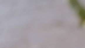 sandia con chocolate