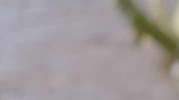 sandia con chocolate