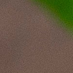 sopa de lima con tortilla