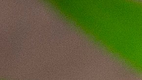 sopa de lima con tortilla