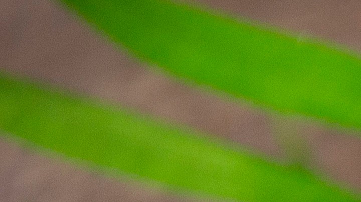 sopa de lima con tortilla