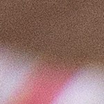 sopa de munición con espinacas y col