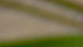 Snack de medio día para niños