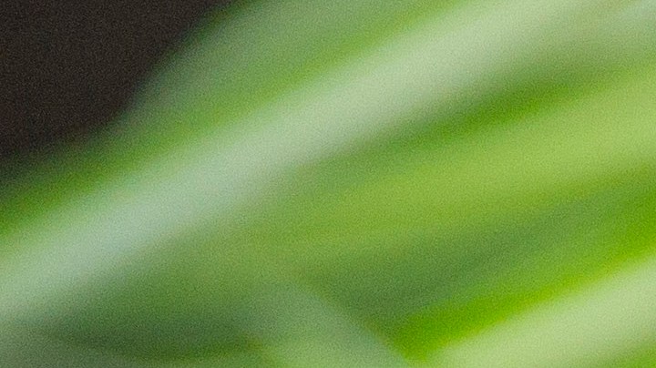 sándwich mac and cheese