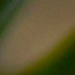 Snacks para año nuevo