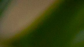 Snacks para año nuevo