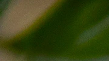 Snacks para año nuevo