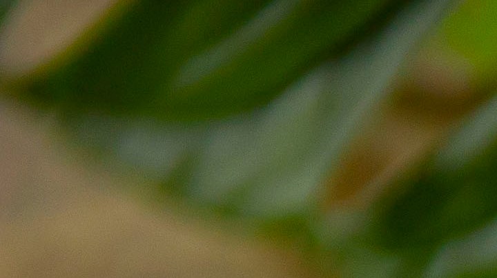 Snacks para año nuevo