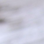 Spaghettis con almejas