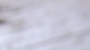 Spaghettis con almejas