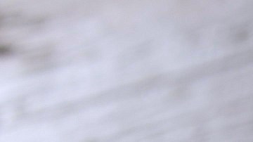 Spaghettis con almejas