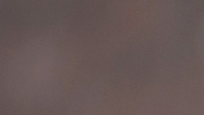 albóndigas de trigo sarraceno