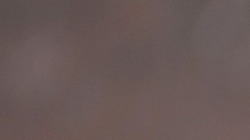 albóndigas de trigo sarraceno