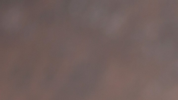 albóndigas de trigo sarraceno