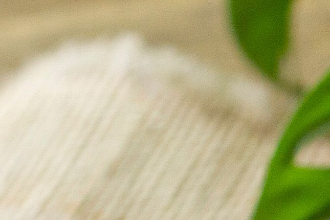 salteado de pollo con verduras