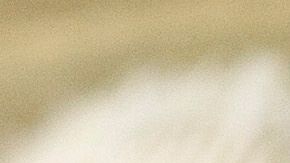 salteado de pollo con verduras