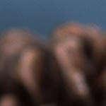 brownie de chocolate con almendras