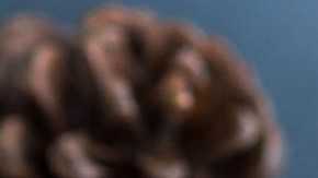 brownie de chocolate con almendras