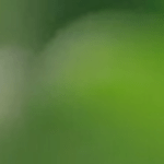 captura.00_00_46_27.Still045