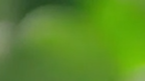 captura.00_00_46_27.Still045