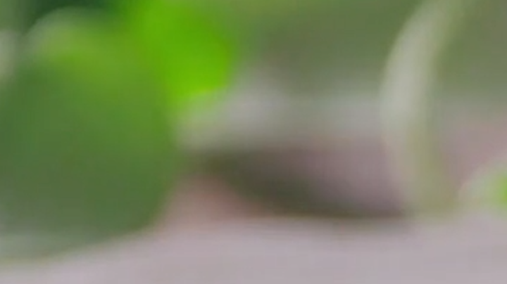 captura.00_00_46_27.Still045