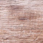 espaguetis con carne molida y vegetales