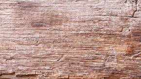 espaguetis con carne molida y vegetales