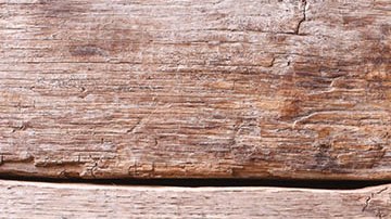 espaguetis con carne molida y vegetales