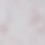 Muslos de pollo en salsa verde