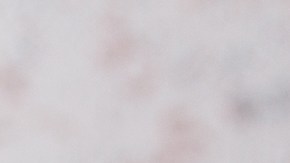 Muslos de pollo en salsa verde