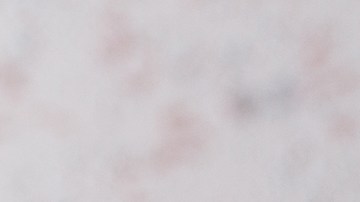 Muslos de pollo en salsa verde